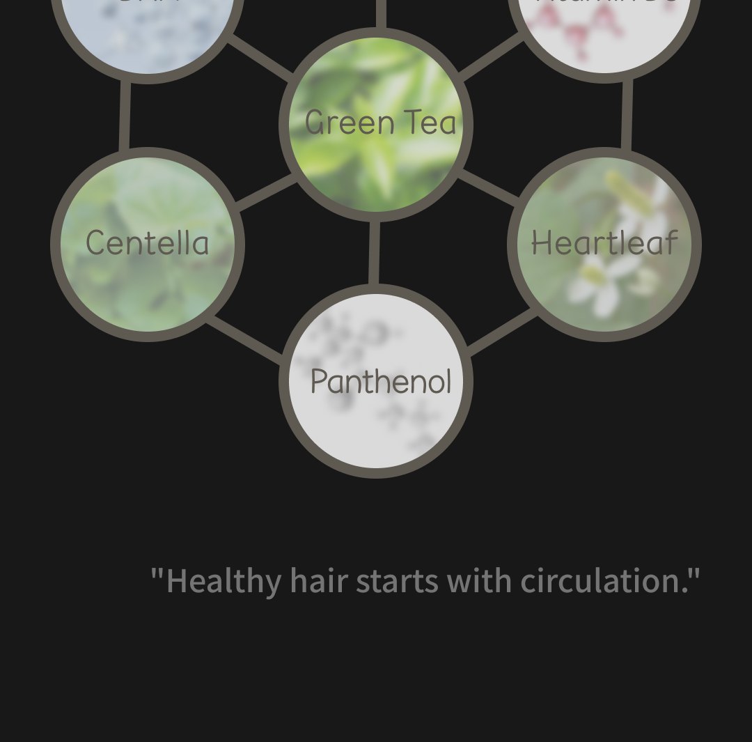 MOGAM Changpo Root Ritual Scalp Serum detail 10