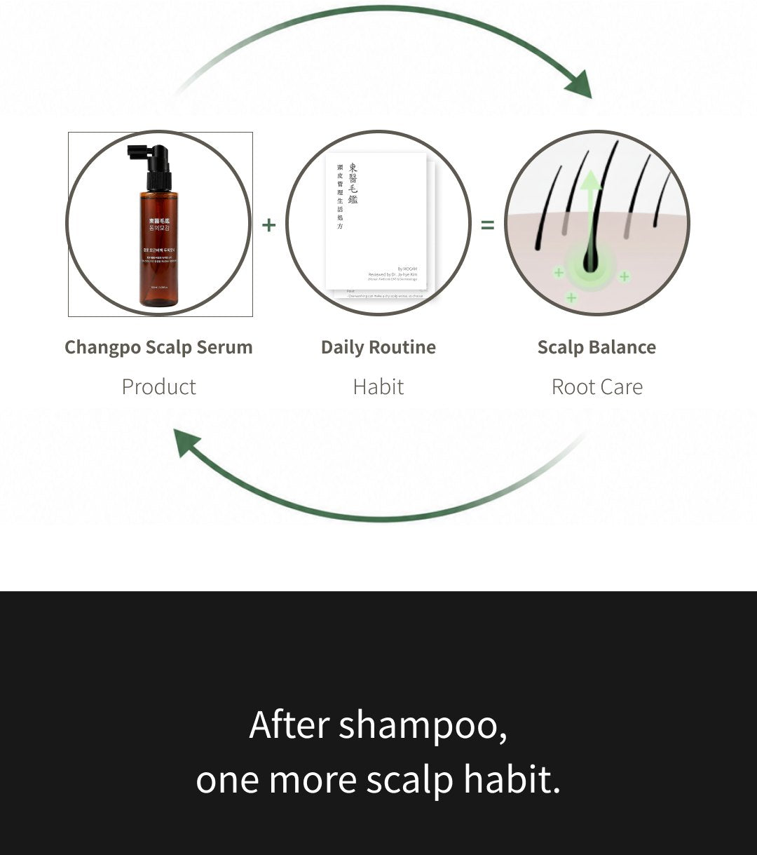 MOGAM Changpo Root Ritual Scalp Serum detail 18